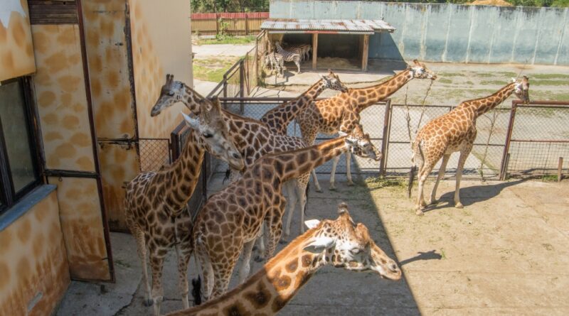 Zoo Ołomuniec