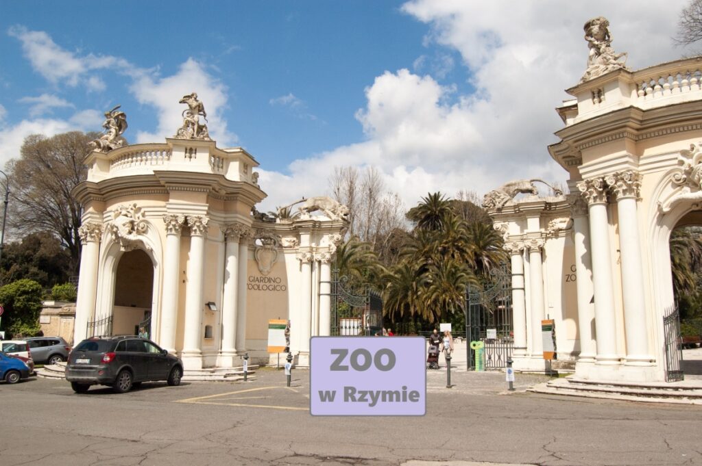 Rzym zoo, atrakcje