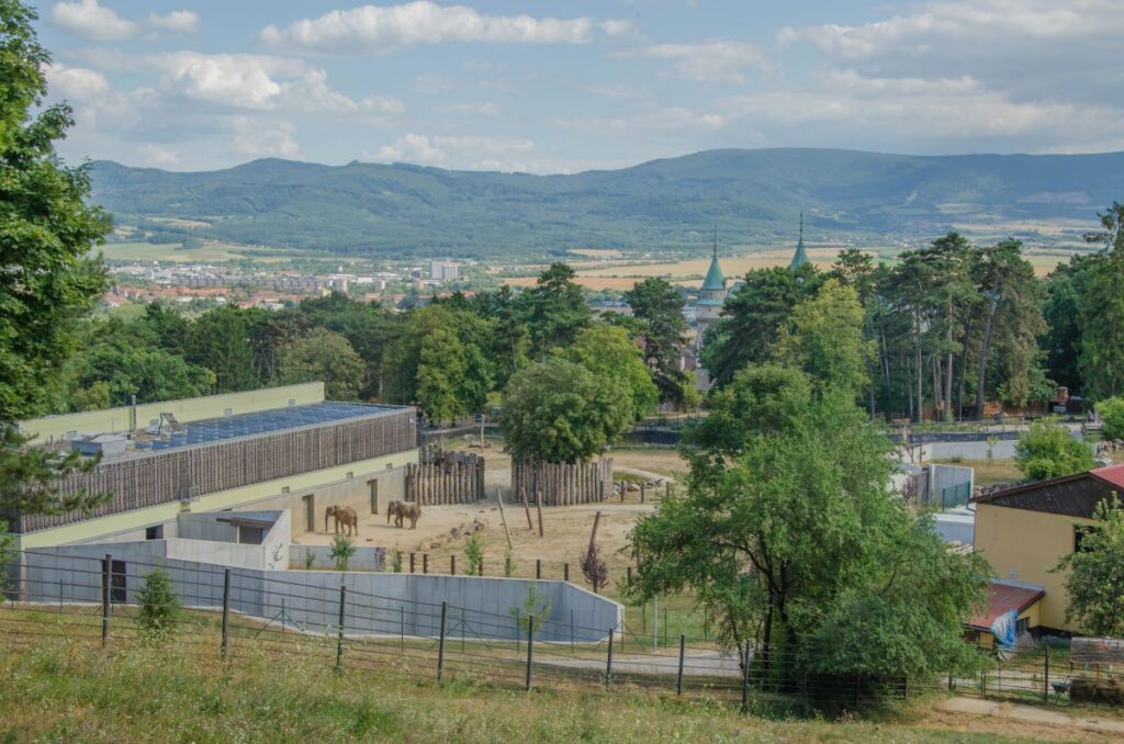 Bojnice na Słowacji ogród zoologiczny